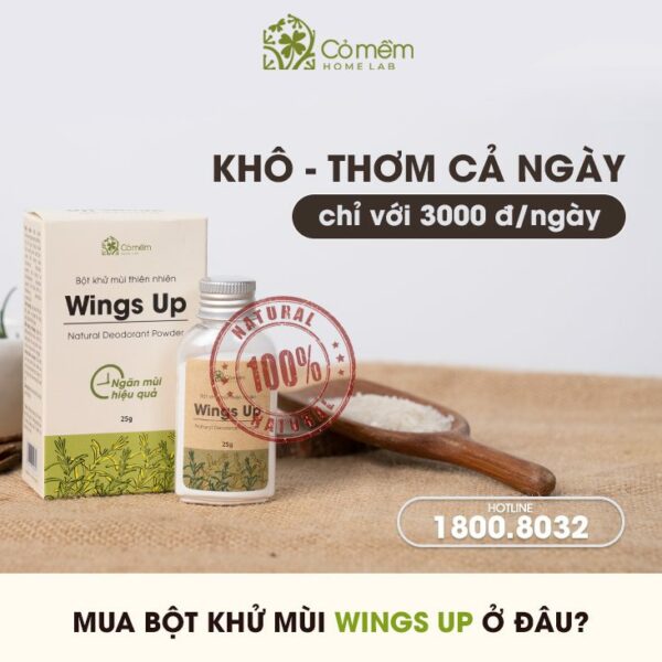 wings-up-khu-mui-hoi-nach-tan-goc-600x600.jpeg